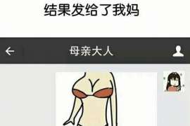 庄浪侦探取证：夫妻共有财产分割原则